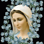 Video para el mes del rosario, te encantará..