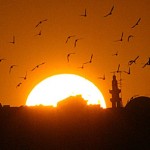 Doscientos millones de cristianos perseguidos en el mundo